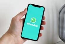 WhatsApp Bots for business automation