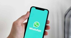 WhatsApp Bots for business automation